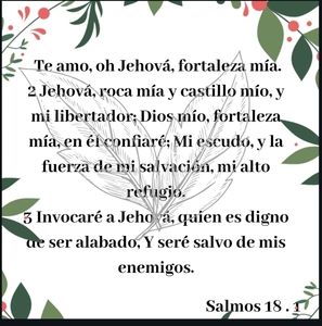 Meet your Posher, Dorena